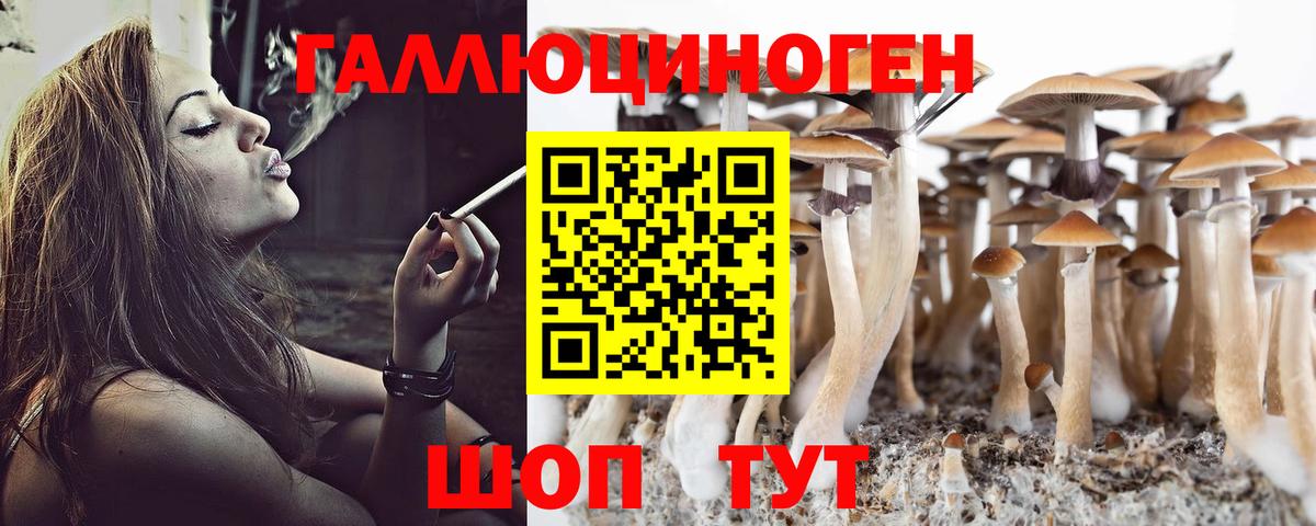 Галлюциногенные грибы MAGIC MUSHROOMS Ачхой-Мартан