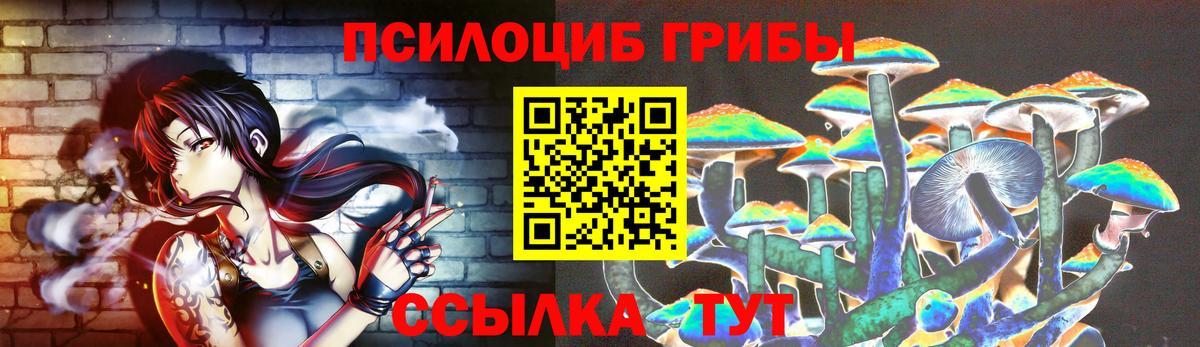 Галлюциногенные грибы Psilocybe  Вход с VPN  Ачхой-Мартан 